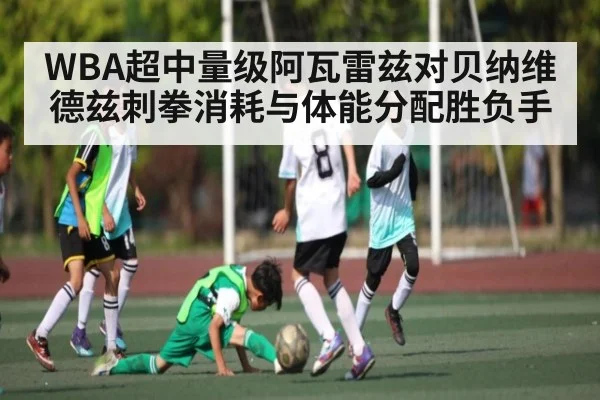 WBA超中量级阿瓦雷兹对贝纳维德兹刺拳消耗与体能分配胜负手